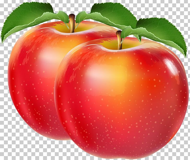 Apple PNG, Clipart, Accessory Fruit, Adobe Illustrator, Apple Fruit, Apple Logo, Apple Tree Free PNG Download