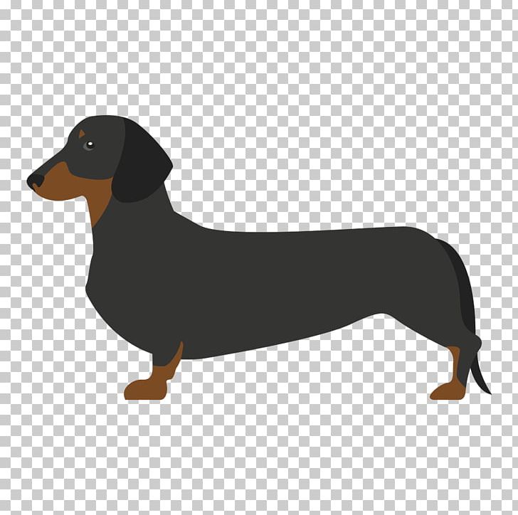 Dachshund Drever Puppy Dog Breed German Spaniel PNG, Clipart, Animals, Beak, Breed, Carnivoran, Chihuahua Free PNG Download