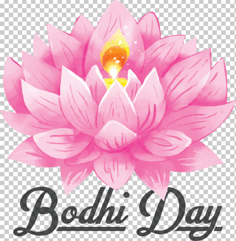 Bodhi Day Bodhi PNG, Clipart, Bodhi, Bodhi Day, Buddhas Birthday, Buddhist Devotion, Gautama Buddha Free PNG Download