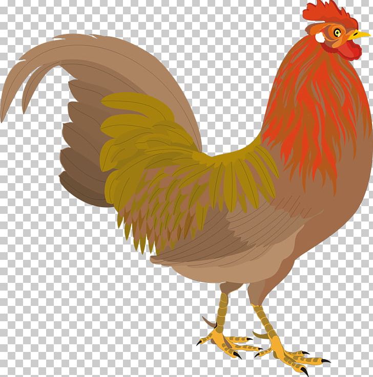 Chicken Rooster Paper PNG, Clipart, Beak, Bird, Brown Quail, Chicken, Common Quail Free PNG Download
