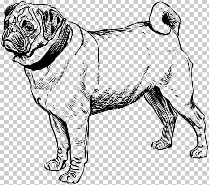 Puppy Pug Bull Terrier Coloring Book Boston Terrier PNG, Clipart, Adult, Animals, Artwork, Black And White, Boston Terrier Free PNG Download