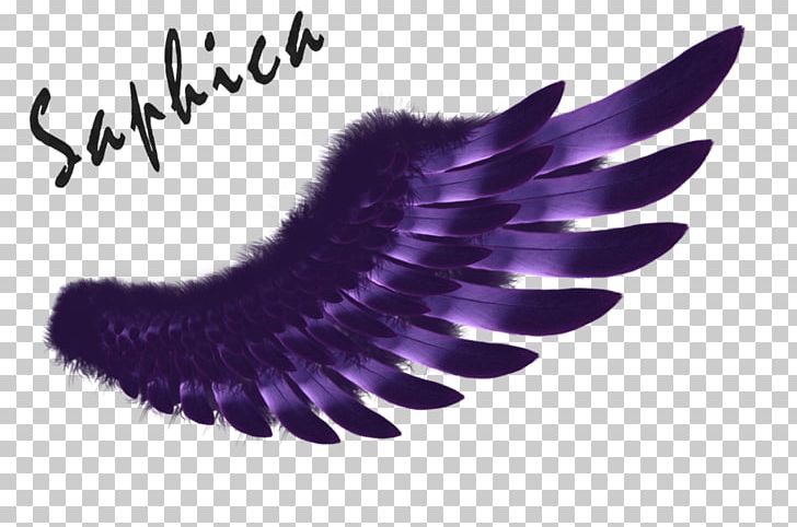 Wing Logo Purple PNG, Clipart, Art, Desktop Wallpaper, Deviantart, Drawing, Eyelash Free PNG Download