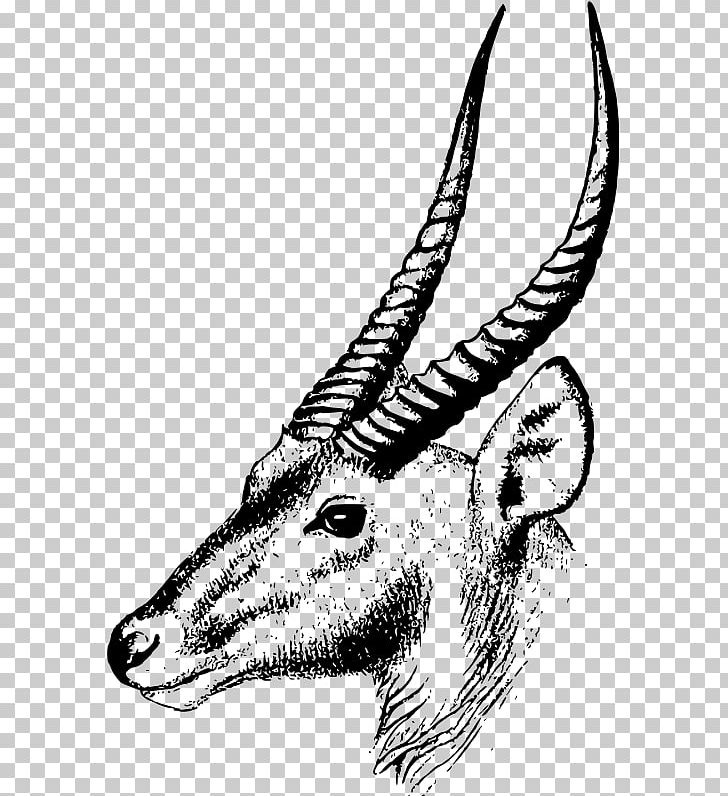 Antelope Oryx Impala PNG, Clipart, Art, Carnivoran, Cow Goat Family, Desktop Wallpaper, Fauna Free PNG Download