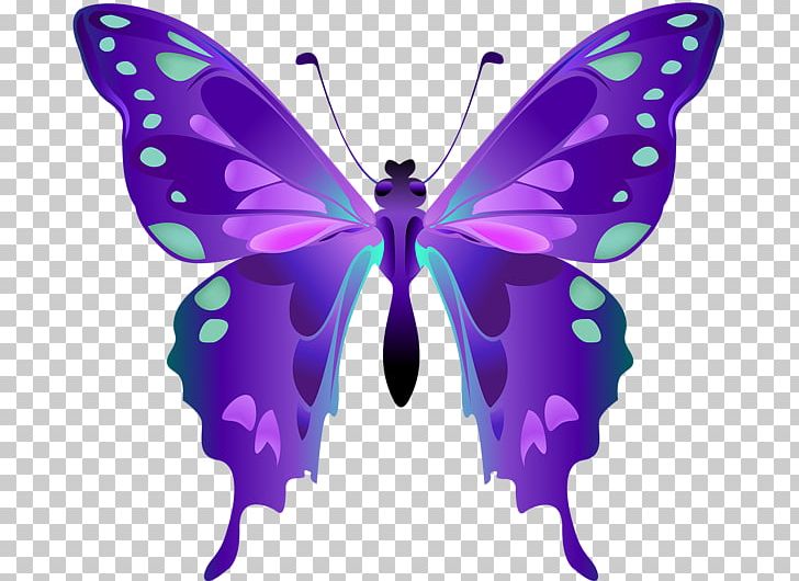 Brush-footed Butterflies Portable Network Graphics Moth PNG, Clipart, Arthropod, Brush Footed Butterfly, Butterfly, Fictional Character, Insect Free PNG Download