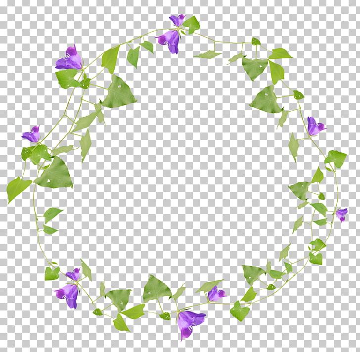 Floral Design Flower Illustration PNG, Clipart, Artificial Grass, Border, Choice, Circle, Download Free PNG Download