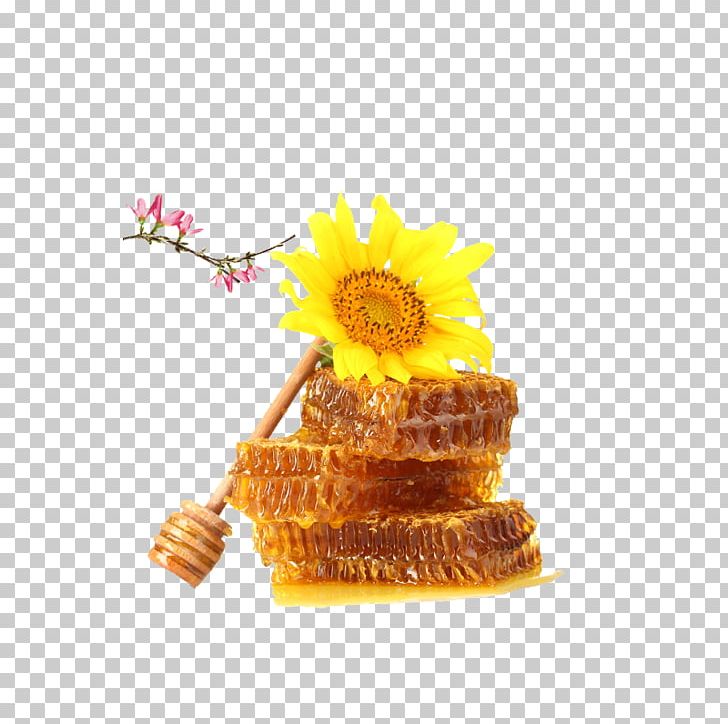 Honey Bee Honey Bee Comb Honey PNG, Clipart, Bee, Bee Honey, Comb Honey, Flower, Flowers Free PNG Download