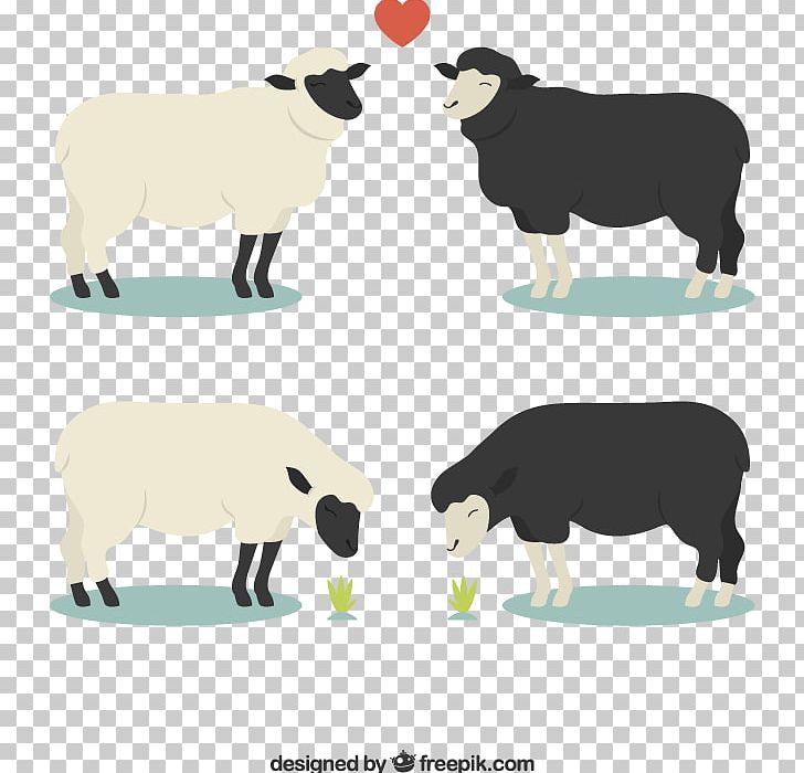 Sheep Euclidean PNG, Clipart, Animals, Black, Black Hair, Black White, Cow Goat Family Free PNG Download