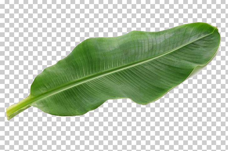 Banana Leaf Pisang Goreng Food PNG, Clipart, Background Green, Banana, Banana Leaf, Banana Leaves, Fruit Nut Free PNG Download