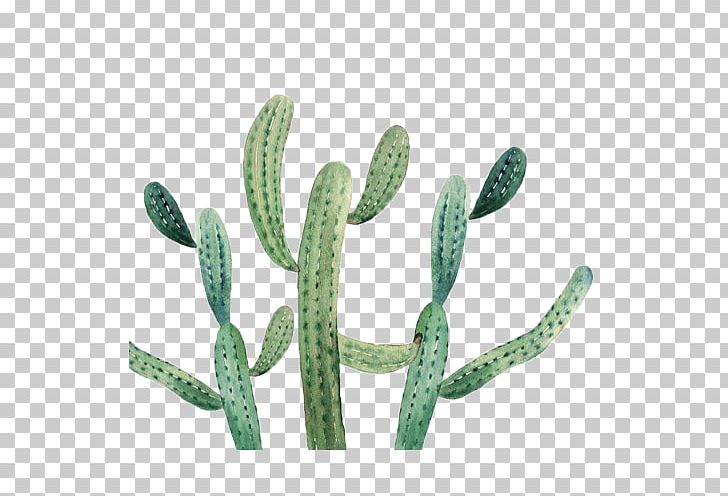 Cactaceae Poster PNG, Clipart, Adobe Illustrator, Background Green, Cactaceae, Cactus, Caryophyllales Free PNG Download