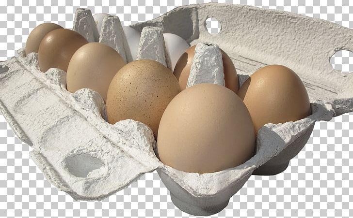 Chicken Fried Egg Egg Carton Hen PNG, Clipart, Animals, Cardboard, Carton, Chicken, Chicken Egg Free PNG Download