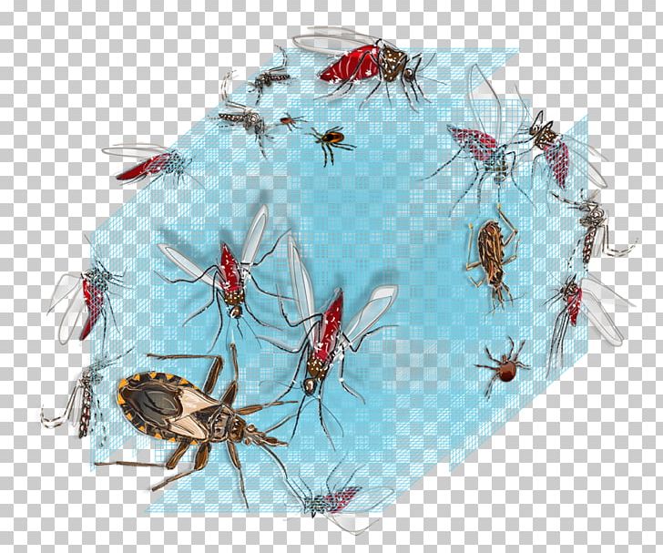 Control Disease Mosquito Health PNG, Clipart, Art, Chagas Disease, Dengue, Disease, Fly Free PNG Download