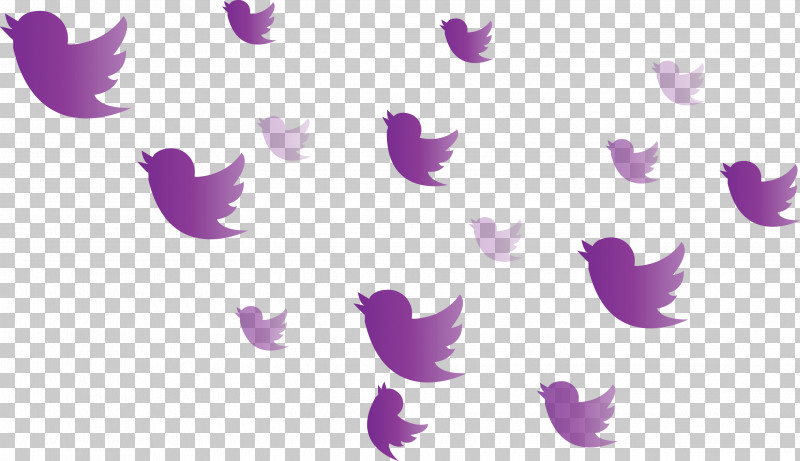 Twitter Flying Birds Birds PNG, Clipart, Birds, Flying Birds, Magenta, Purple, Twitter Free PNG Download