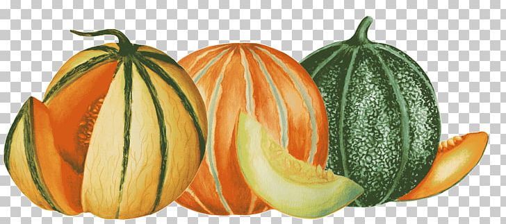 Cantaloupe Honeydew Pumpkin Gourd Winter Squash PNG, Clipart, Asso, Benih, Calabaza, Commodity, Cucumber Gourd And Melon Family Free PNG Download