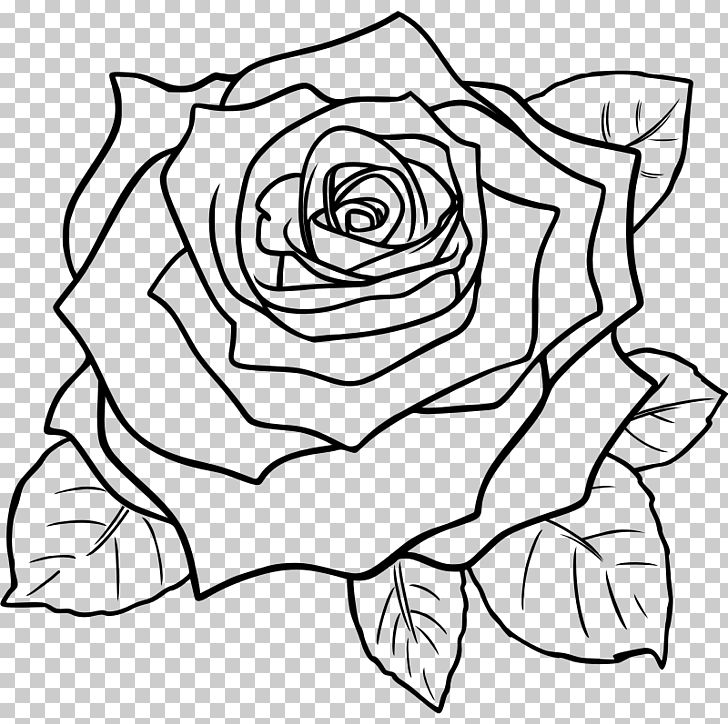 Rise art rose line drawing pencil sketch Vector Image