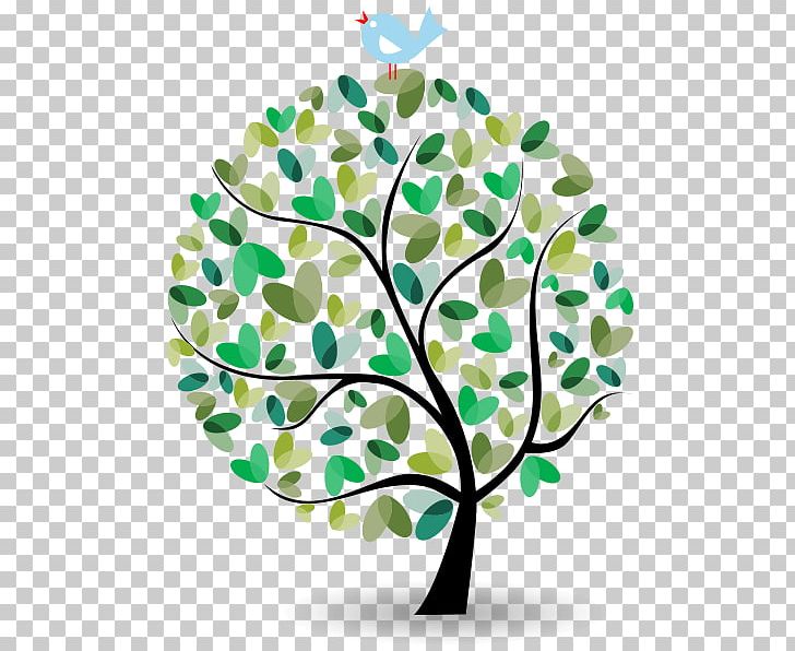 Fruit Tree Wood Ecology Branch PNG, Clipart, Bottle, Branch, Circle, Ecology, Flora Free PNG Download