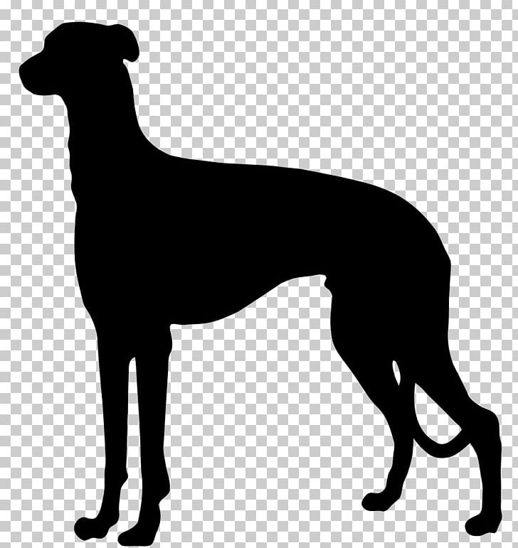 German Shorthaired Pointer German Wirehaired Pointer German Longhaired Pointer Spinone Italiano PNG, Clipart, Animal Sports, Azawakh, Black And White, Breed, Carnivoran Free PNG Download
