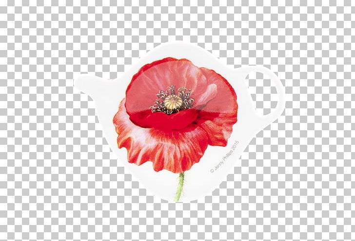 Poppy Tea Tea Bag Flowering Tea PNG, Clipart, Bag, Common Poppy, Coquelicot, Flower, Flowering Plant Free PNG Download