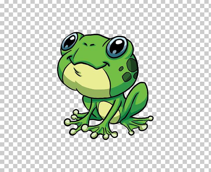 Toad True Frog Tree Frog PNG, Clipart, Amphibian, Animals, Frog, Green, Organism Free PNG Download
