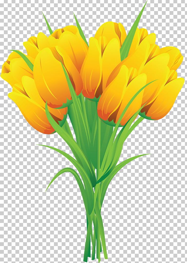 Tulip Flower Bouquet Yellow PNG, Clipart, Can Stock Photo, Clip Art, Color, Cut Flowers, Floral Design Free PNG Download