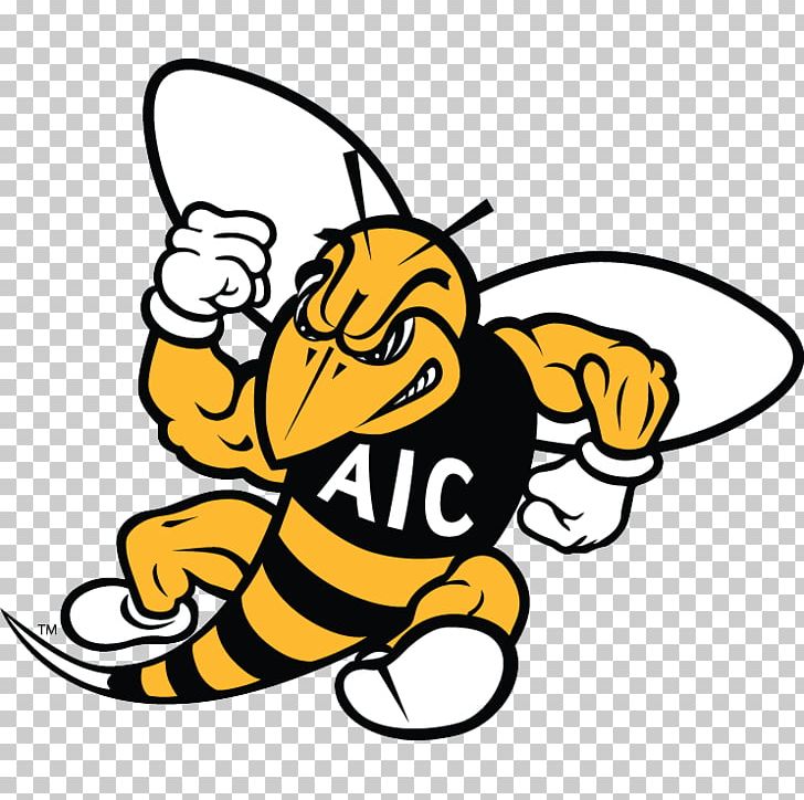 American International College American International Yellow Jackets Football American International Yellow Jackets Men's Ice Hockey T-shirt Iron-on PNG, Clipart,  Free PNG Download