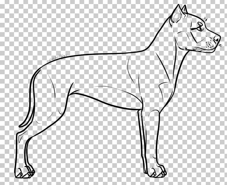 Dog Breed American Staffordshire Terrier Line Art Staffordshire Bull