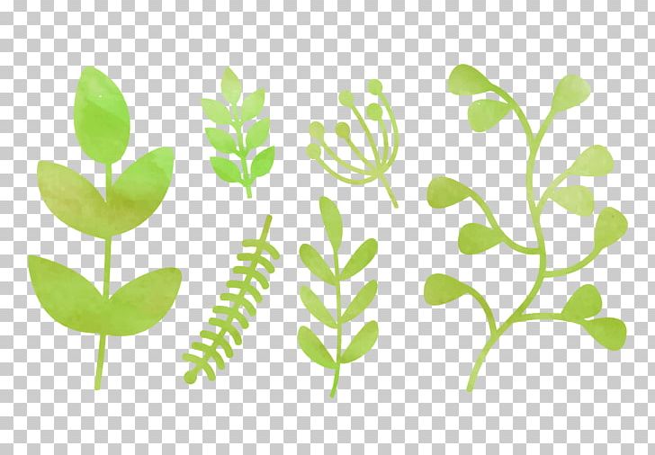 Leaf Green Watercolor Painting Nature PNG, Clipart, Branch, Color, Drawing, Flora, Flower Free PNG Download
