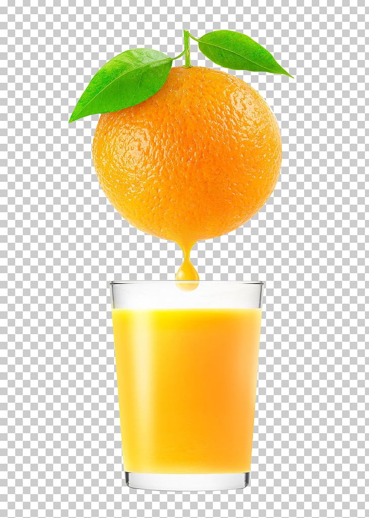 Orange Juice Auglis PNG, Clipart, Auglis, Citric Acid, Citrus, Citrus Xd7 Sinensis, Clementine Free PNG Download