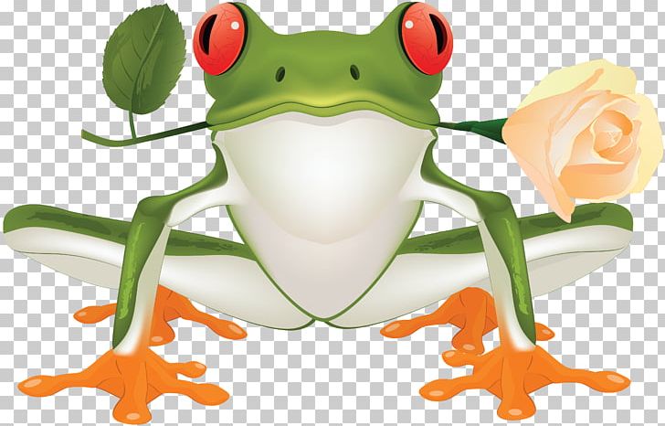 Tree Frog True Frog Toad PNG, Clipart, Amphibian, Animals, Australian Green Tree Frog, Clip Art, Desktop Wallpaper Free PNG Download