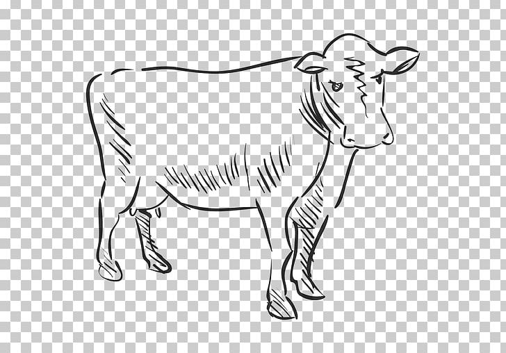Cattle Drawing PNG, Clipart, Artwork, Black And White, Cattle, Cattle Like Mammal, Cow Goat Family Free PNG Download