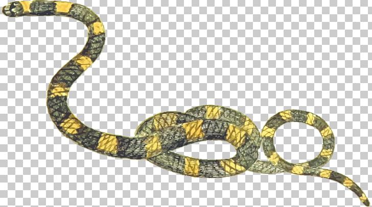 Snake Boa Constrictor PNG, Clipart, Animal Figure, Animals, Boa Constrictor, Body Jewelry, Common European Viper Free PNG Download