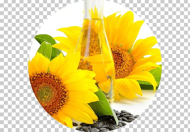 Sunflower Oil Linseed Oil Vegetable Oil PNG, Clipart, Avocado Oil, Coconut Oil, Cooking Oils, Cottonseed Oil, Daisy Family Free PNG Download