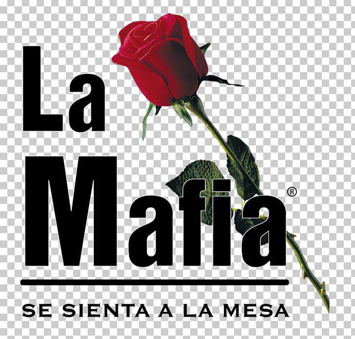 Table La Mafia Se Sienta A La Mesa Restaurant La Mafia Se Sienta A La Mesa Restaurant PNG, Clipart, Brand, Court, Cut Flowers, Flower, Flowering Plant Free PNG Download