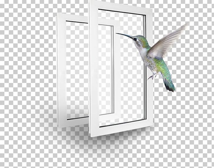 Window PNG, Clipart, Bird, Furniture, Visaginas, Window, Wing Free PNG Download
