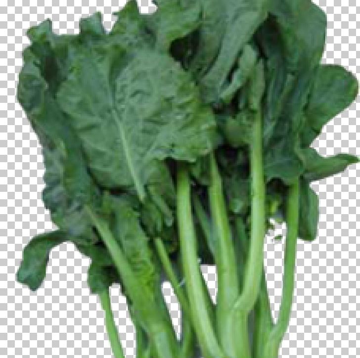 Chinese Cuisine Chinese Broccoli Cantonese Cuisine Choy Sum PNG, Clipart, Bok Choy, Brassica Oleracea, Broccoli, Cantonese Cuisine, Chard Free PNG Download
