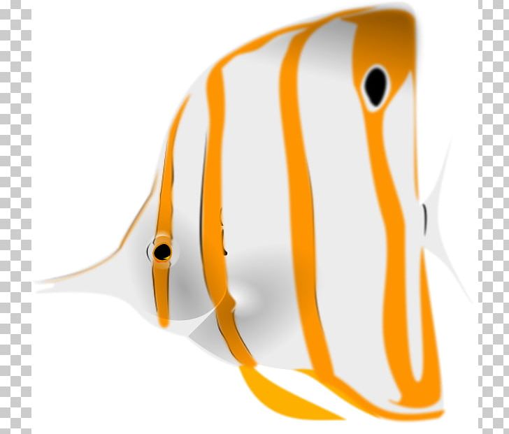 Fourspot Butterflyfish Copperband Butterflyfish PNG, Clipart, Beak, Butterflyfish, Chaetodon, Computer Icons, Copperband Butterflyfish Free PNG Download