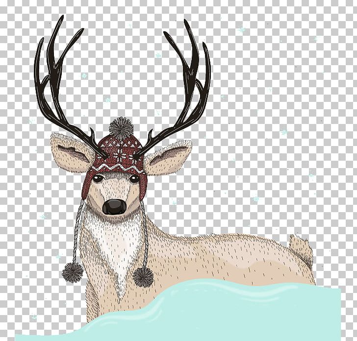 Deer Stock Photography Illustration PNG, Clipart, Animals, Animation, Antler, Christmas, Christmas Card Free PNG Download