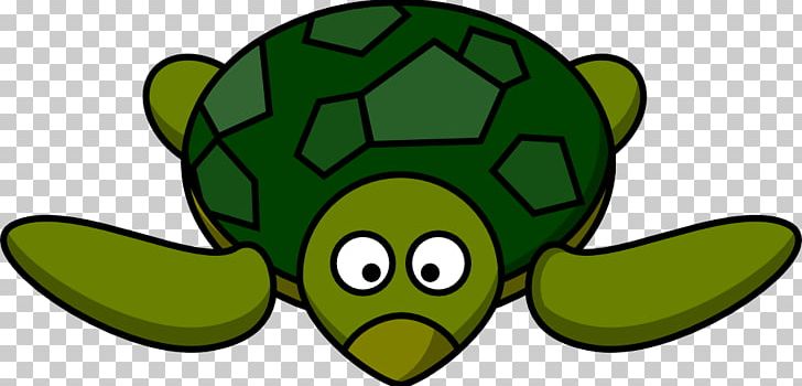 Green Sea Turtle Cartoon PNG, Clipart, Bog Turtle, Cartoon, Drawing, Fictional Character, Grass Free PNG Download