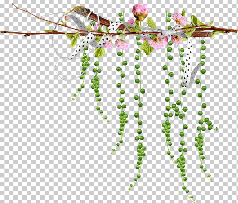 Branch Plant Flower Twig PNG, Clipart, Branch, Flower, Plant, Twig Free PNG Download