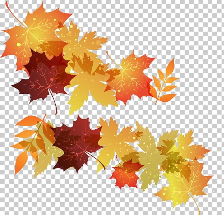 Autumn Leaf Color Maple Leaf PNG, Clipart, Art, Autumn, Autumn Leaf Color, Encapsulated Postscript, Flowering Plant Free PNG Download