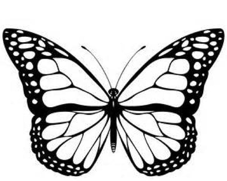 Monarch Butterfly Black And White PNG, Clipart, Art, Arthropod, Black And White, Brush Footed Butterfly, Butterfly Free PNG Download