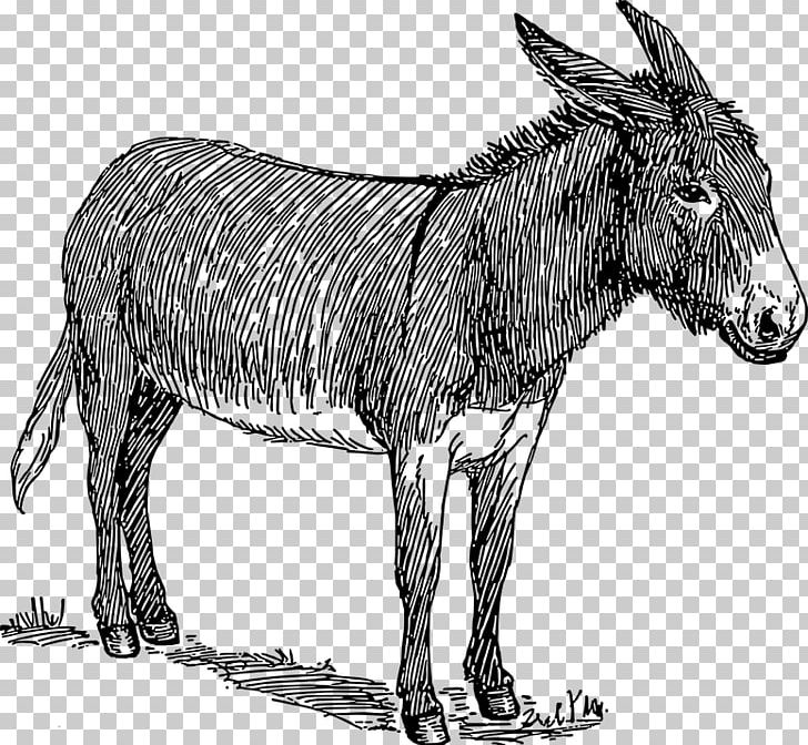 Donkey Drawing Line Art Watercolor Painting PNG, Clipart, Art, Black And White, Cartoon, Donkey, Fauna Free PNG Download