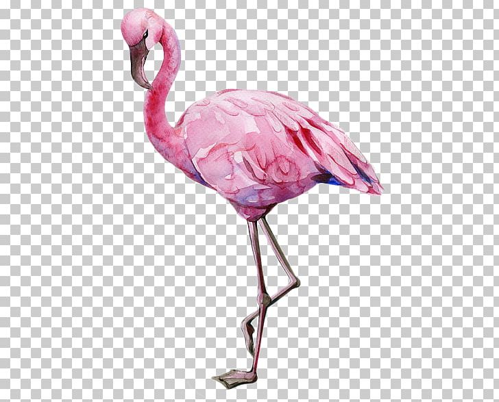Flamingo PNG, Clipart, Animals, Art, Beak, Bird, Drawing Free PNG Download