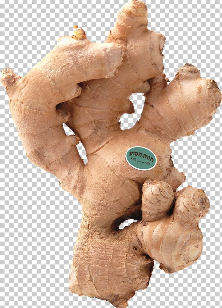 Ginger Root Vegetables Spice PNG, Clipart, Asian Cuisine, Cooking, Food, Ginger, Health Free PNG Download