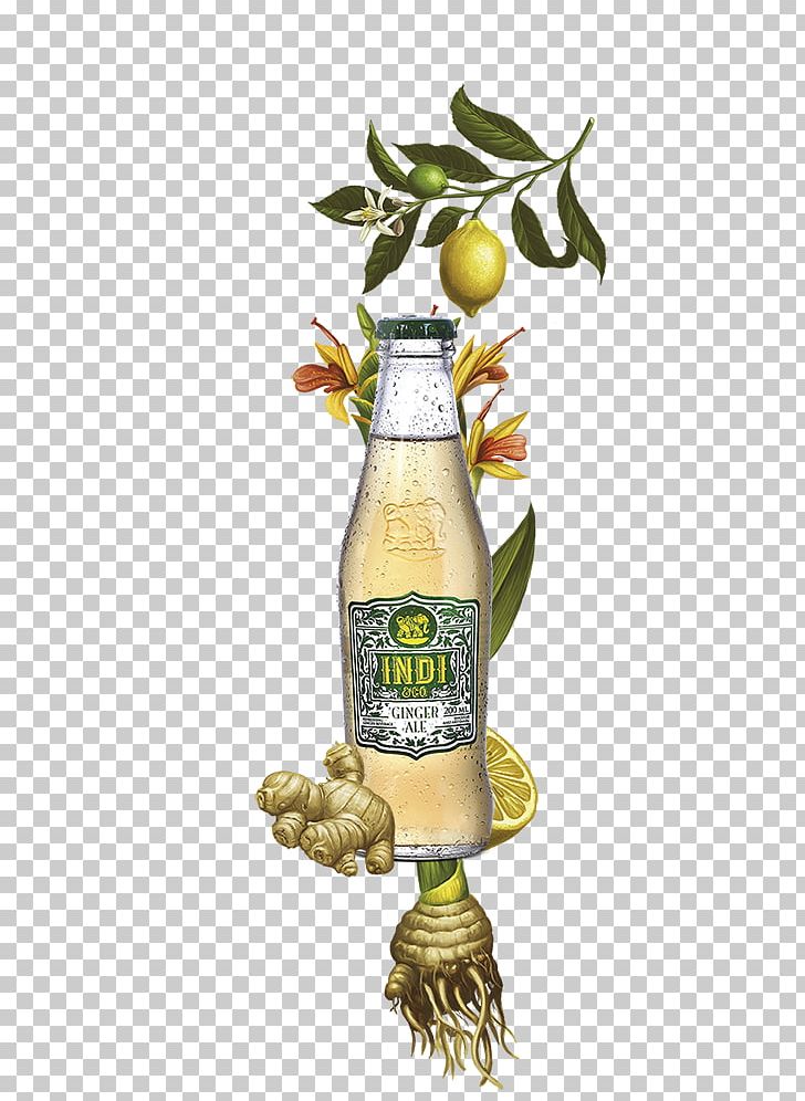 Olive Oil Tonic Water Ginger Ale Vegetable Oil PNG, Clipart, Cooking Oil, Food, Food Drinks, Ginger Ale, Oil Free PNG Download