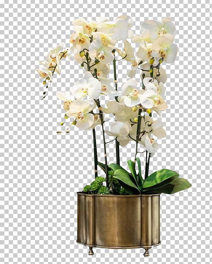 Orchids White Euclidean PNG, Clipart, Android, Artificial Flower, Bell, Bell Orchid, Black White Free PNG Download