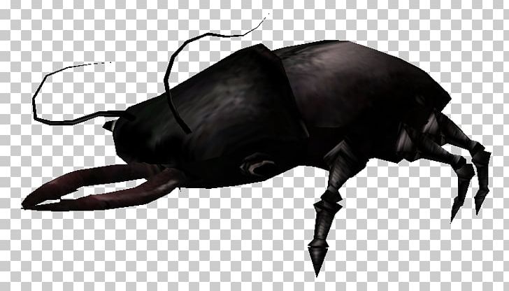 Japanese Rhinoceros Beetle Dung Beetle Wiki Rhinoceros Beetles PNG, Clipart, Arthropod, Beetle, Black And White, Cattle, Cattle Like Mammal Free PNG Download