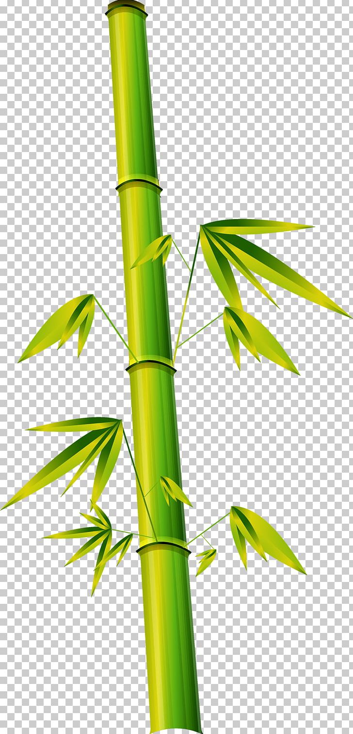 Bamboe Bamboo Phyllostachys Euclidean PNG, Clipart, Adobe Illustrator, Angle, Background Green, Bamboe, Bamboo Free PNG Download