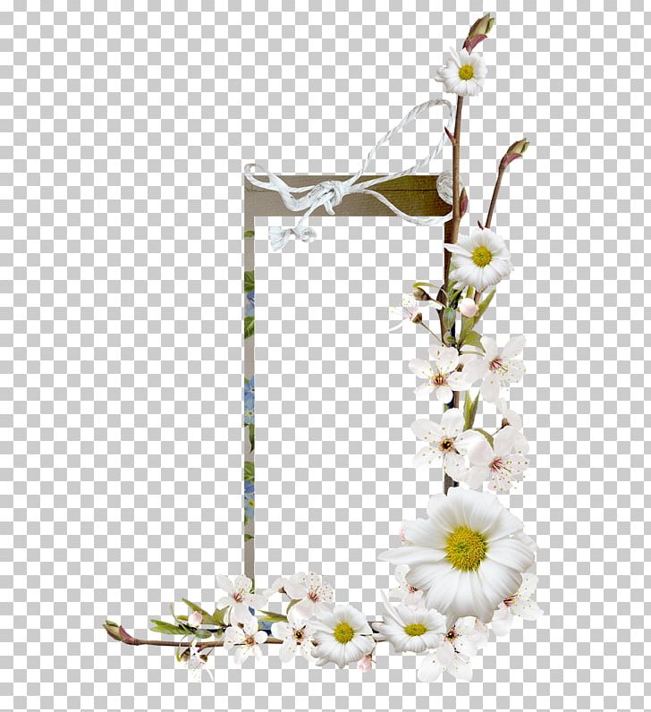 Floral Design Flower Adobe Photoshop Portable Network Graphics PNG, Clipart, Blossom, Branch, Cadre, Camomile, Color Free PNG Download