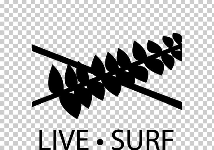 Real Surfing Photography Metro Manila Wave PNG, Clipart, Angle, Black And White, Branch, Brand, Facebook Free PNG Download