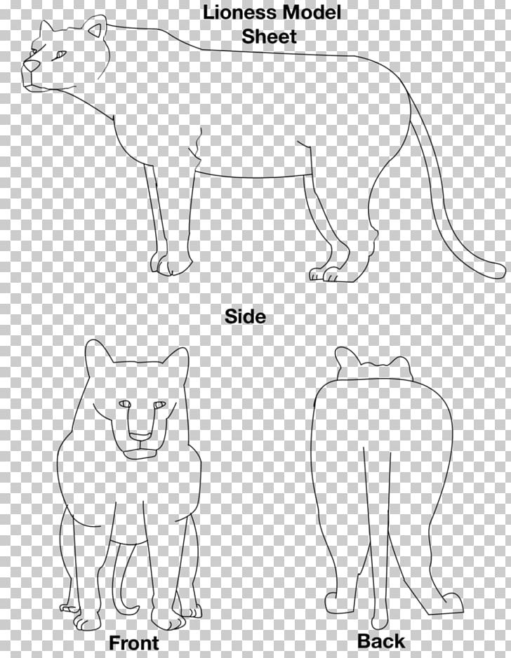 Whiskers Lion Cat Bear Mammal PNG, Clipart, Angle, Animal, Animal Figure, Animals, Area Free PNG Download